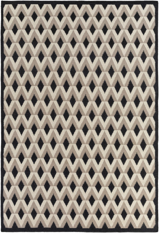 Surya Dwell D DWD-1000 Area Rug by DwellStudio