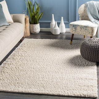 Surya Deluxe Shag DXS-2301 Area Rug Room Scene Feature