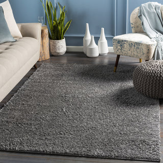 Surya Deluxe Shag DXS-2303 Area Rug Room Scene Feature