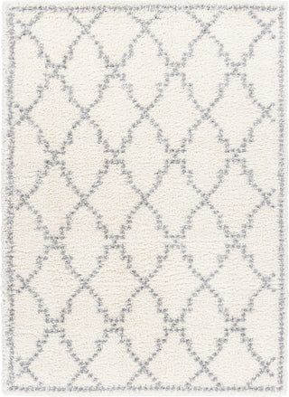 Surya Deluxe Shag DXS-2305 Area Rug