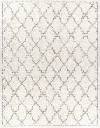 Surya Deluxe Shag DXS-2305 Area Rug