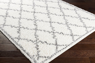 Surya Deluxe Shag DXS-2306 Area Rug