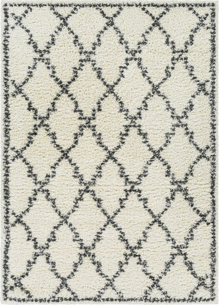 Surya Deluxe Shag DXS-2306 Area Rug