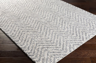 Livabliss Deluxe Shag DXS-2307 Area Rug