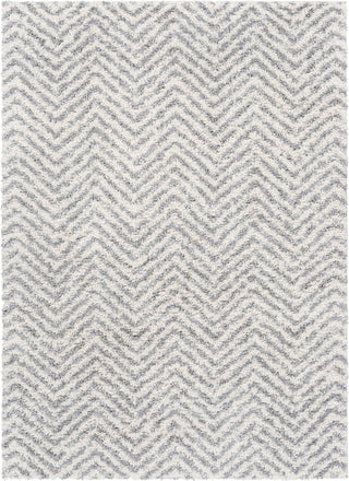 Livabliss Deluxe Shag DXS-2307 Area Rug