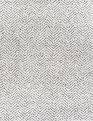 Livabliss Deluxe Shag DXS-2307 Area Rug