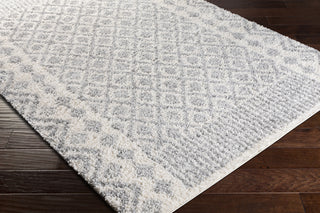Surya Deluxe Shag DXS-2308 Area Rug