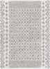 Surya Deluxe Shag DXS-2308 Area Rug