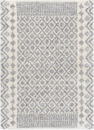 Surya Deluxe Shag DXS-2308 Area Rug