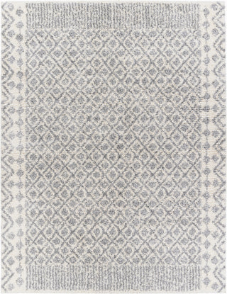 Surya Deluxe Shag DXS-2308 Area Rug