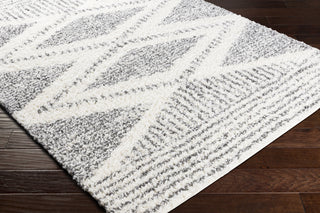 Livabliss Deluxe Shag DXS-2309 Area Rug