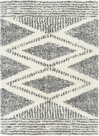 Livabliss Deluxe Shag DXS-2309 Area Rug