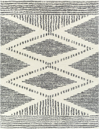 Livabliss Deluxe Shag DXS-2309 Area Rug