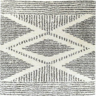 Surya Deluxe Shag DXS-2309 Area Rug Main Image