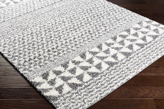 Livabliss Deluxe Shag DXS-2310 Area Rug