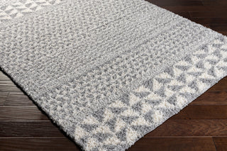 Surya Deluxe Shag DXS-2311 Area Rug