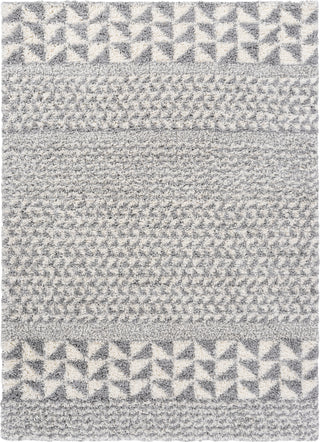 Surya Deluxe Shag DXS-2311 Area Rug