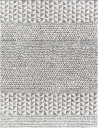 Surya Deluxe Shag DXS-2311 Area Rug