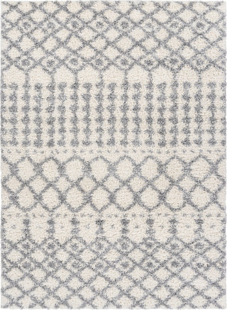 Surya Deluxe Shag DXS-2312 Area Rug Main Image 