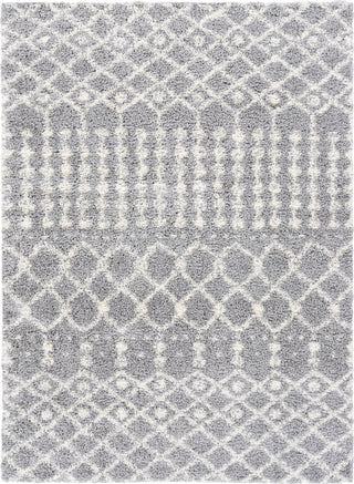 Livabliss Deluxe Shag DXS-2313 Area Rug