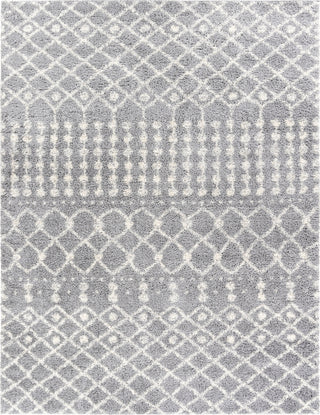 Livabliss Deluxe Shag DXS-2313 Area Rug