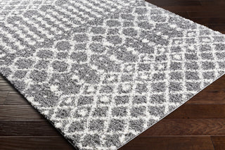 Surya Deluxe Shag DXS-2315 Area Rug
