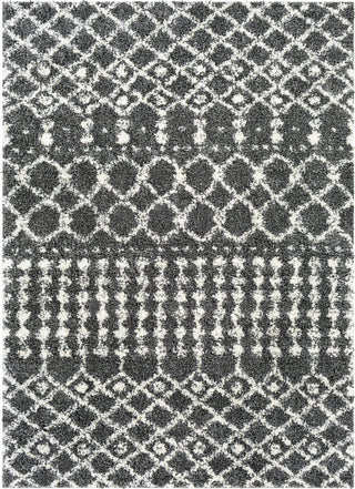 Surya Deluxe Shag DXS-2315 Area Rug