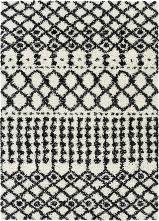 Surya Deluxe Shag DXS-2316 Area Rug