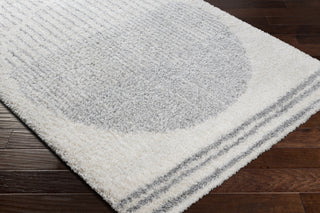 Surya Deluxe Shag DXS-2318 Area Rug