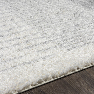 Surya Deluxe Shag DXS-2318 Area Rug