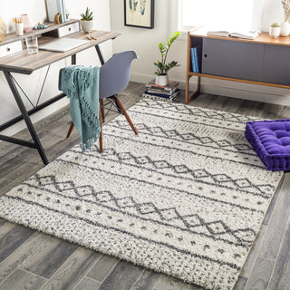 Surya Deluxe Shag DXS-2319 Area Rug Room Scene Feature