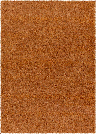 Surya Deluxe Shag DXS-2322 Area Rug Main Image 