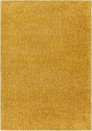 Surya Deluxe Shag DXS-2323 Area Rug Main Image 