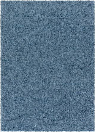 Surya Deluxe Shag DXS-2325 Area Rug Main Image 