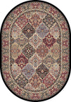 Dynamic Rugs Ancient Garden 57008 Multi Area Rug Oval Image