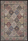 Dynamic Rugs Ancient Garden 57008 Multi Area Rug Main Image