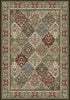 Dynamic Rugs Ancient Garden 57008 Multi Area Rug DELETE?