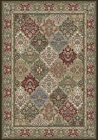 Dynamic Rugs Ancient Garden 57008 Multi Area Rug DELETE?