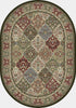 Dynamic Rugs Ancient Garden 57008 Multi Area Rug Oval Shot