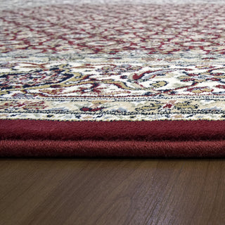 Dynamic Rugs Ancient Garden 57011 Red/Ivory Area Rug Detail Image