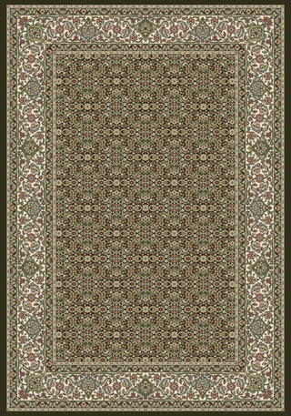 Dynamic Rugs Ancient Garden 57011 Black/Ivory Area Rug DELETE?