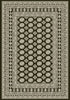 Dynamic Rugs Ancient Garden 57102 Charcoal/Silver Area Rug DELETE?