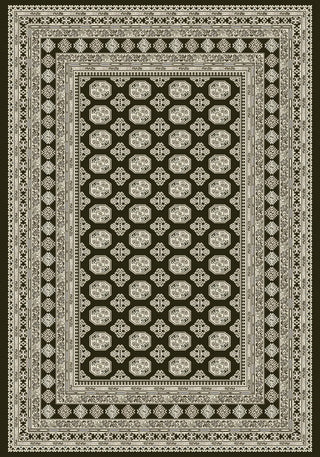 Dynamic Rugs Ancient Garden 57102 Charcoal/Silver Area Rug DELETE?