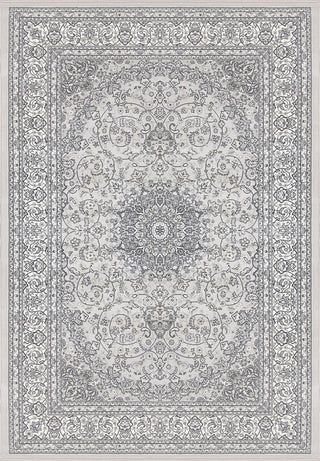 Dynamic Rugs Ancient Garden 57119 Soft Grey/Cream Area Rug main image