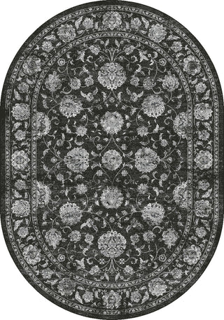 Dynamic Rugs Ancient Garden 57126 Charcoal/Silver Area Rug Oval Image