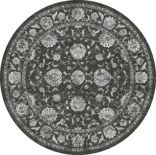 Dynamic Rugs Ancient Garden 57126 Charcoal/Silver Area Rug Round Image