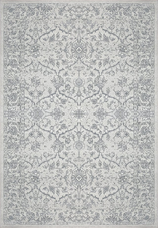 Dynamic Rugs Ancient Garden 57136 Silver/Grey Area Rug Main Image