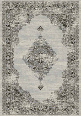 Dynamic Rugs Ancient Garden 57557 Soft Grey/Cream Area Rug DELETE?