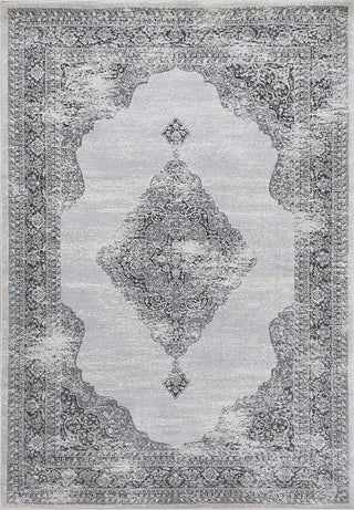 Dynamic Rugs Ancient Garden 57557 Soft Grey/Cream Area Rug main image