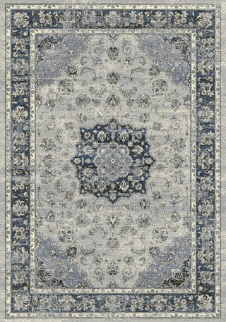 Dynamic Rugs Ancient Garden 57559 Silver/Blue Area Rug DELETE?